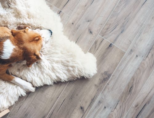 Best Flooring for Cold Wisconsin Winters – Burlington’s Top Picks