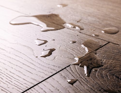 Waterproof Flooring Options for Your Burlington, WI Home | Ketter’s Flooring